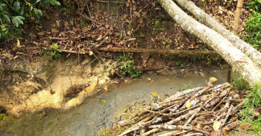 Familias del corregimiento de Guacacallo en Pitalito reclaman a la Alcaldía pronta solución a la contaminación por aguas residuales