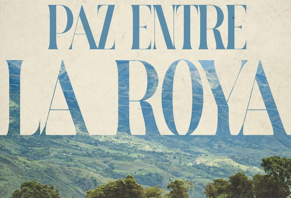 Paz entre la Roya: Historias de café en medio del conflicto.