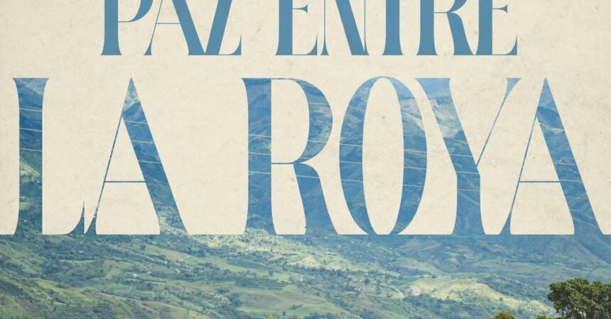 Paz entre la Roya: Historias de café en medio del conflicto.