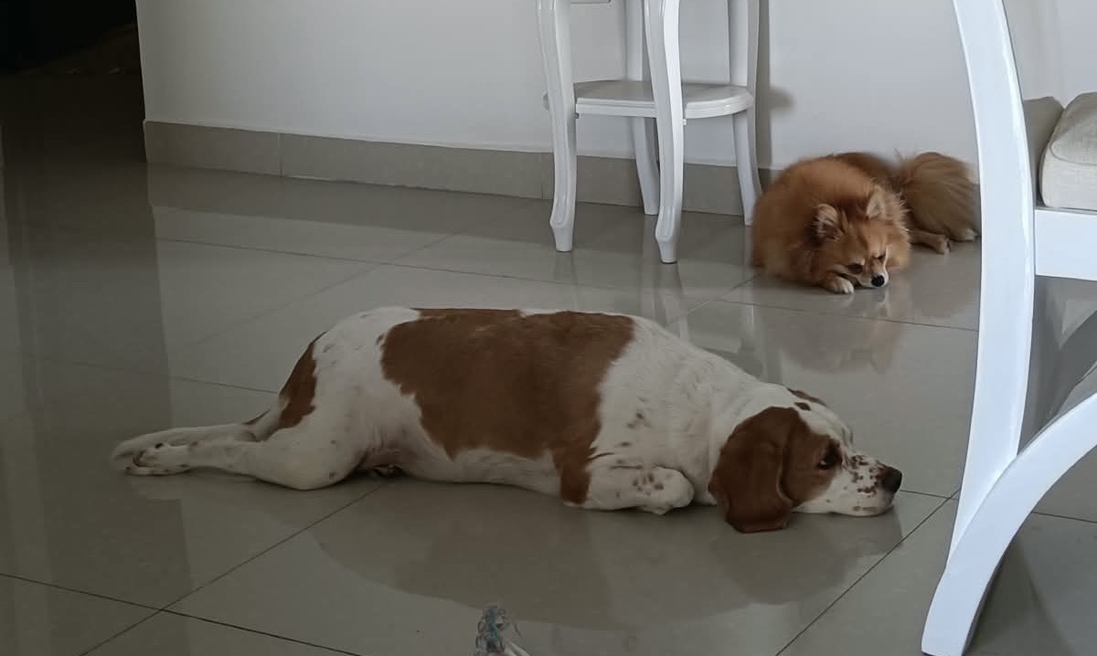 Lupe y Cloe en el apartamento 